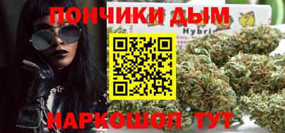 гидра Гай
