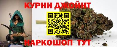 гидра Гай