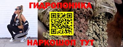 прущие крисы Гатчина