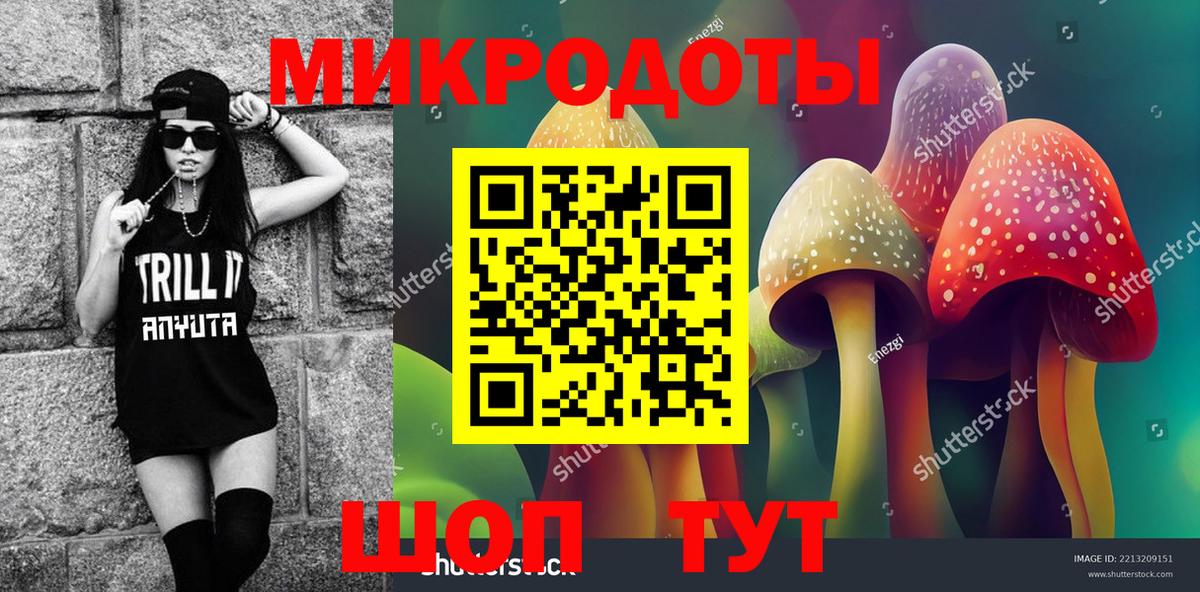 Галлюциногенные грибы Psilocybine cubensis  купить наркоту  Назарово  Вход с VPN  Псилоцибиновые грибы Psilocybine cubensis 